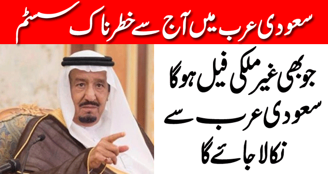 Saudi Arabia Started Professional Test System For Expatriates | Saudi Arabia News Live Urdu Hindi