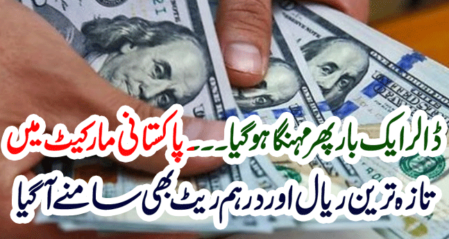The latest real and dirham rates came out in the Pakistani market dollar once again became expensive
