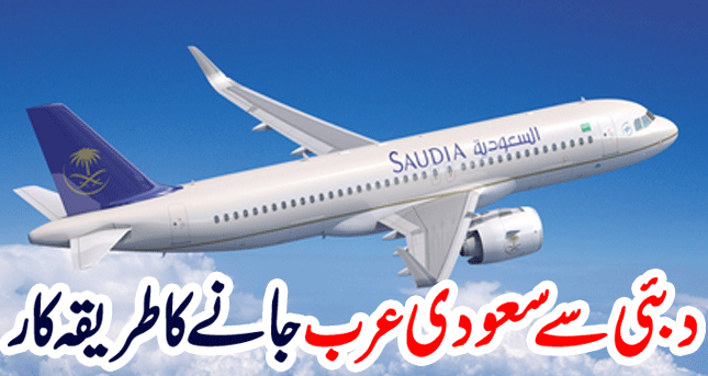 How to Enter Saudi Arabia from Dubai | Saudi Flights