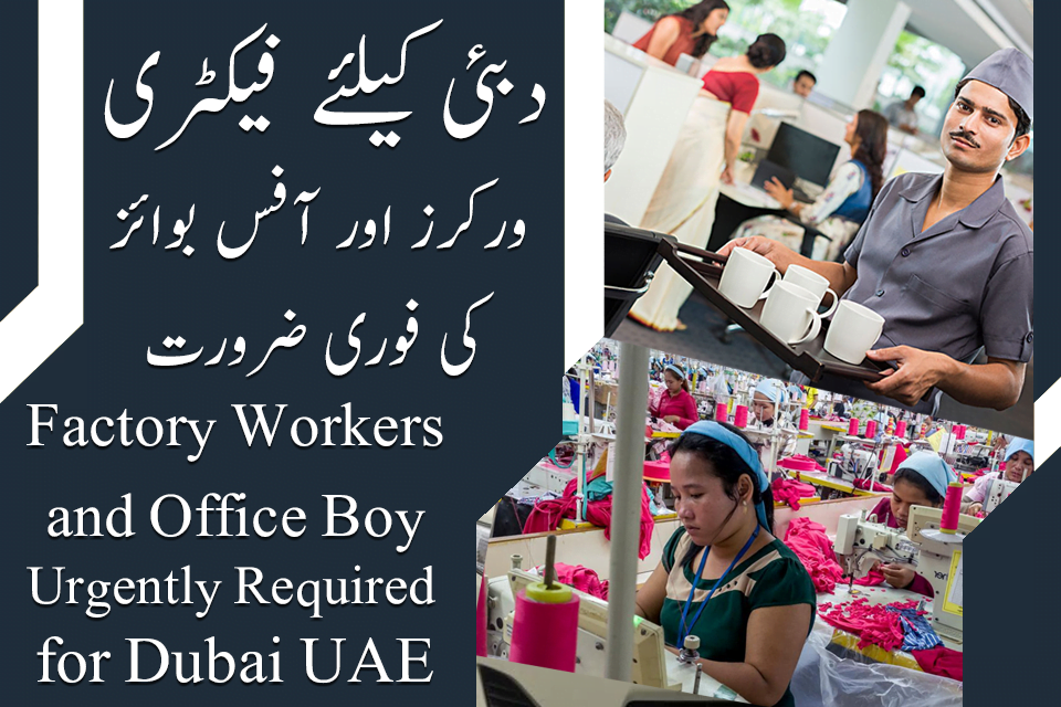 Office Boy and Factory worker Job in Dubai