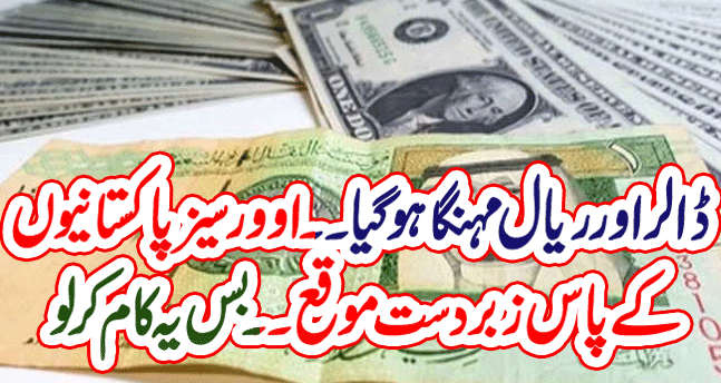 The dollar and riyal became expensive| Over-seas Pakistanis have a great opportunity