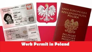 poland work permit allmores