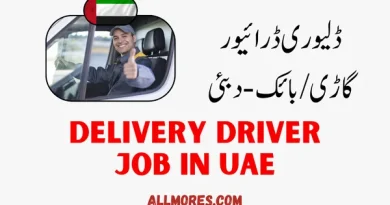 Delivery Driver Job in Dubai