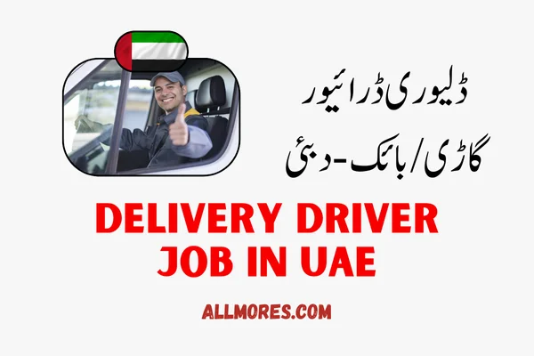 Delivery Driver Job in Dubai