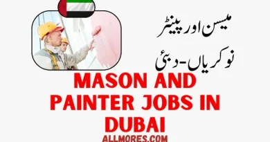 Mason And Painter Jobs in Dubai