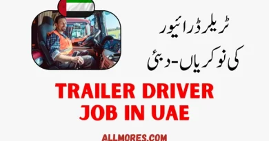 Trailer Driver job in UAE