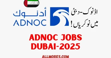 Jobs in ADNOC Dubai