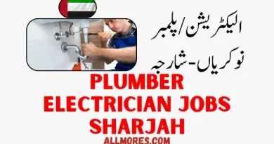 Plumber and Electrician Jobs in Sharjah