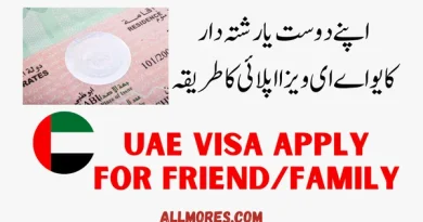 UAE Residents Can Apply for Visas for Friends and Family